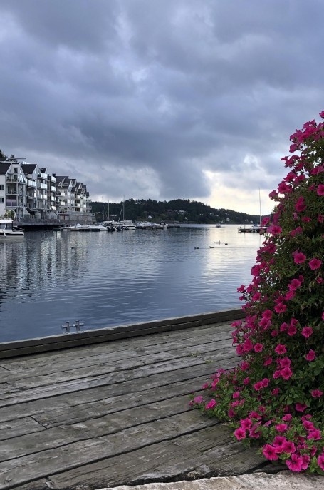 Lenke til artikkel: Velkommen til åpent folkemøte om Tvedestrand Havn